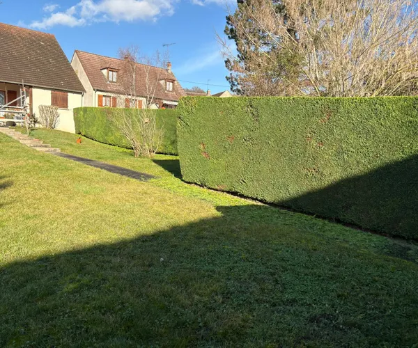 Pelouse et haie entretenues