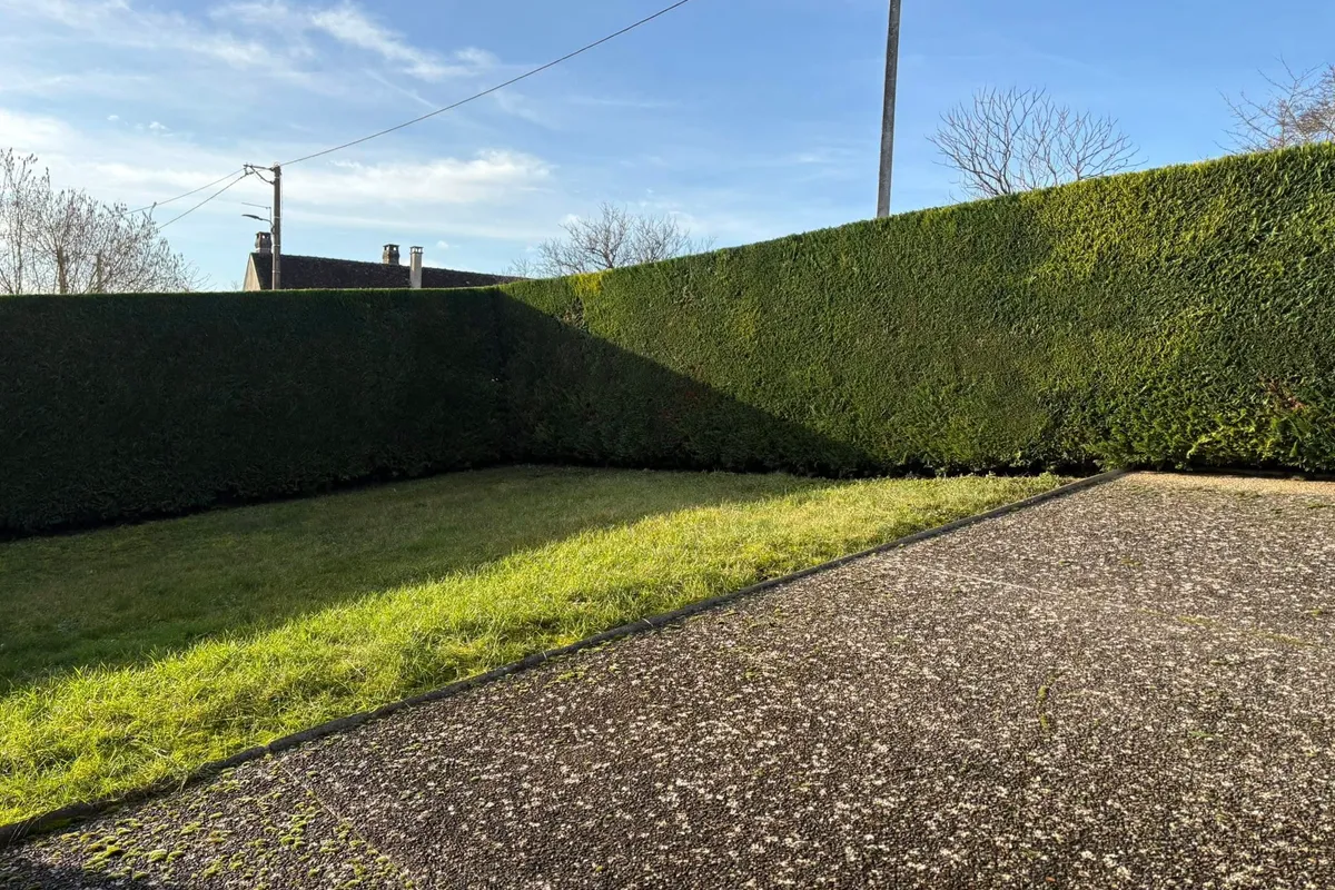 Taille de haie soignée